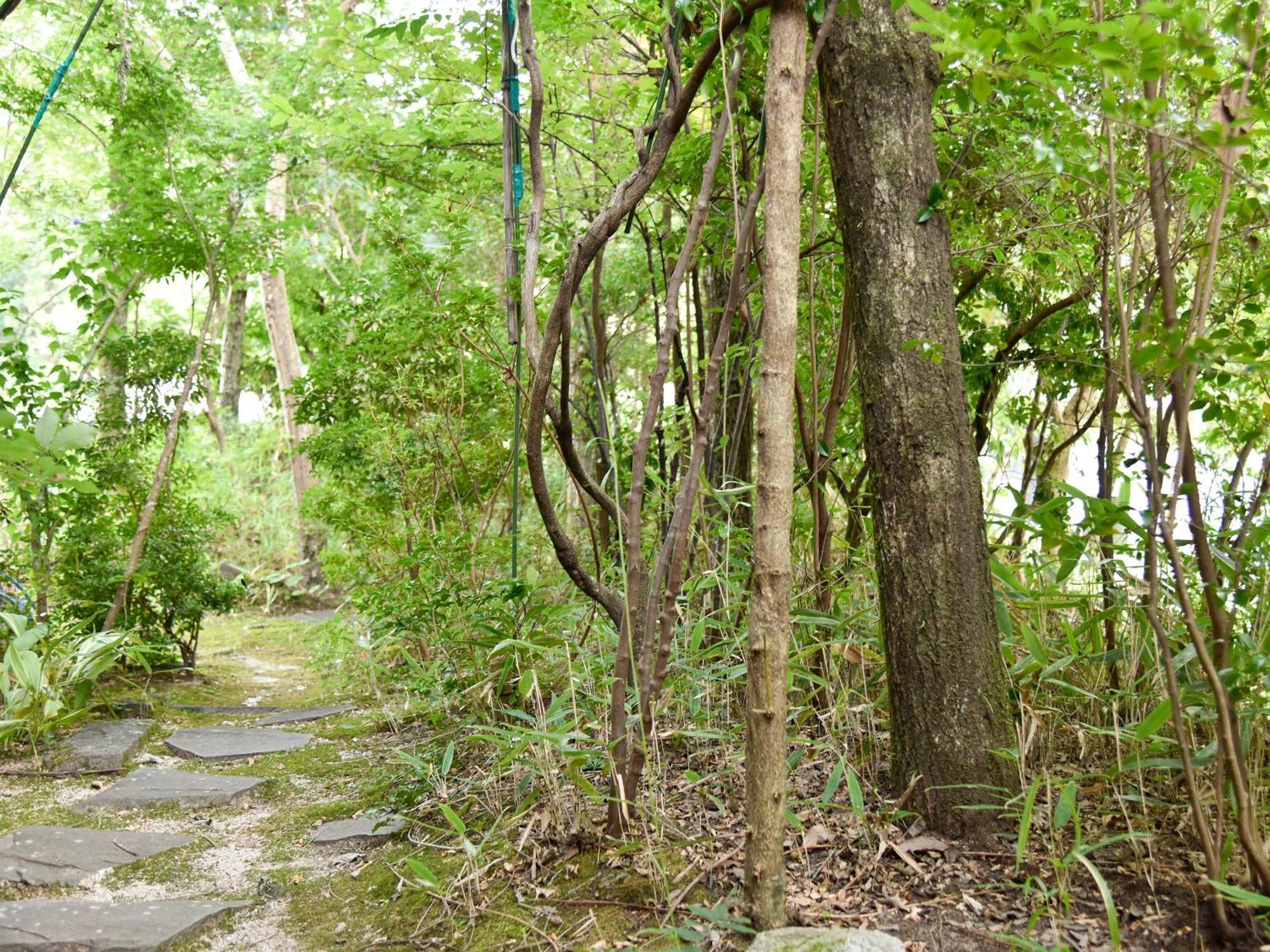 Oyado Yumechidori Hotell Saga Exteriör bild